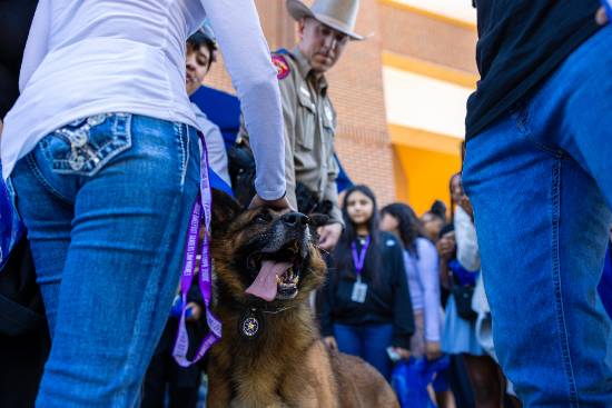 Students Pet a Texas Highway Patrol K9 Officer While His Handler, a State Trooper, Watches Closely