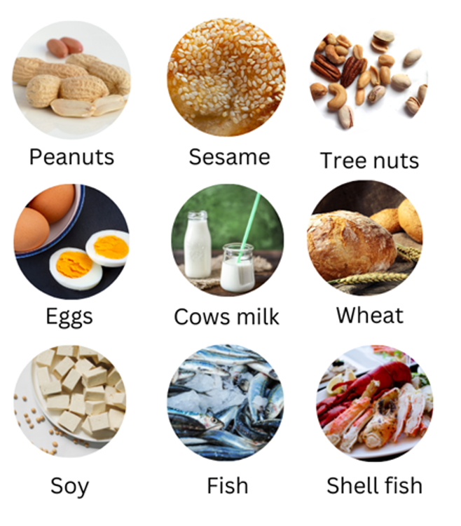 Food Allergens: Peanuts, Sesame, Tree nuts, Eggs, Cows milk, Wheat, Soy, Fish, Shellfish